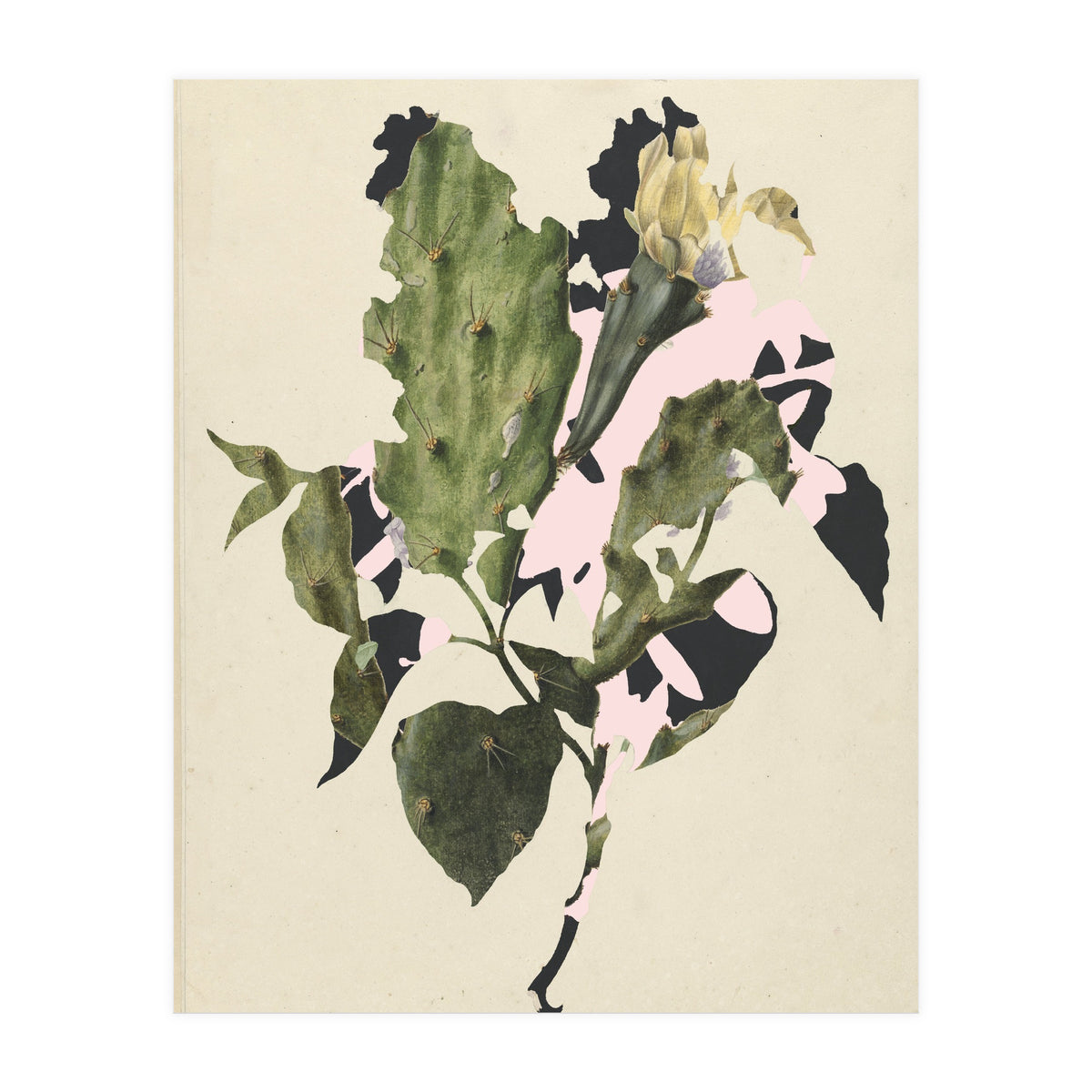 The First Plant · E3 (Print Only)