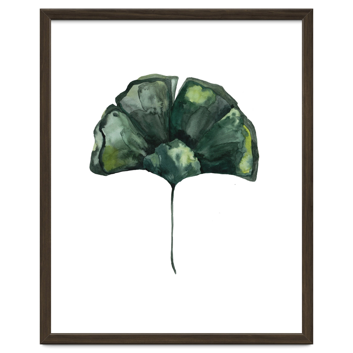 Botanical Illustration Ginko