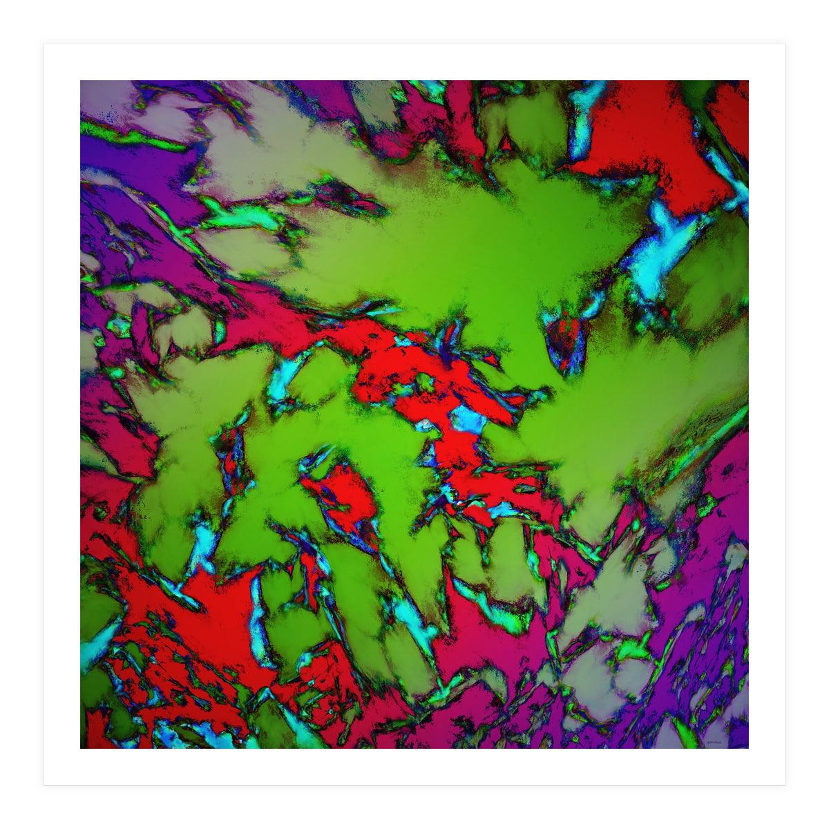 Enclosed Gardens (Print Only)