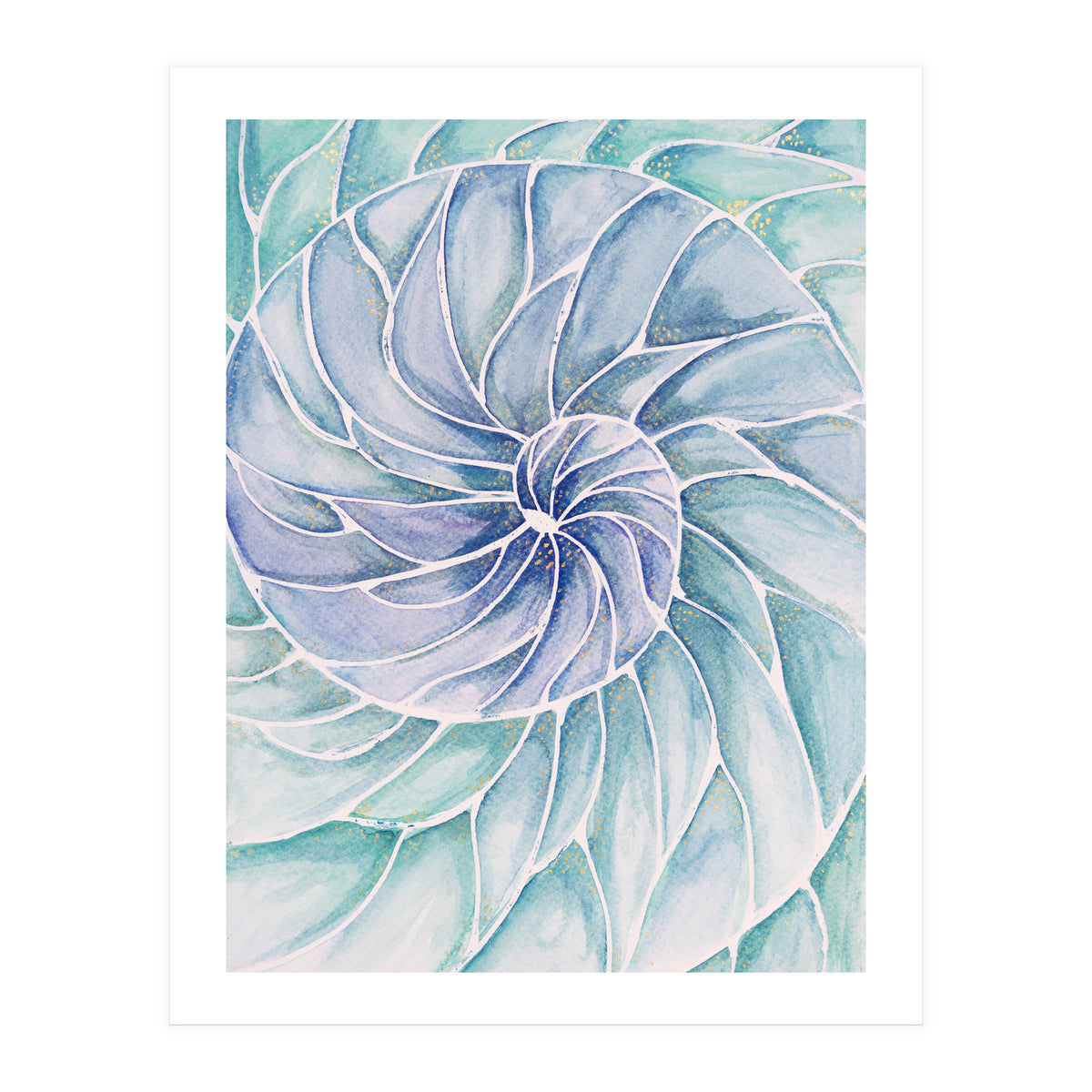 The inside of a shell (Print Only)