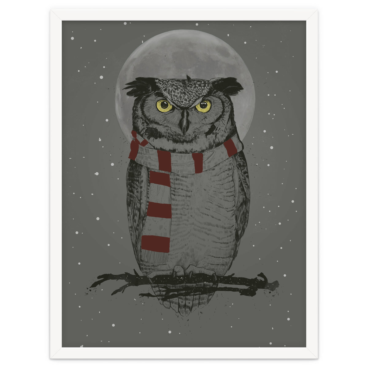 Winter Owl