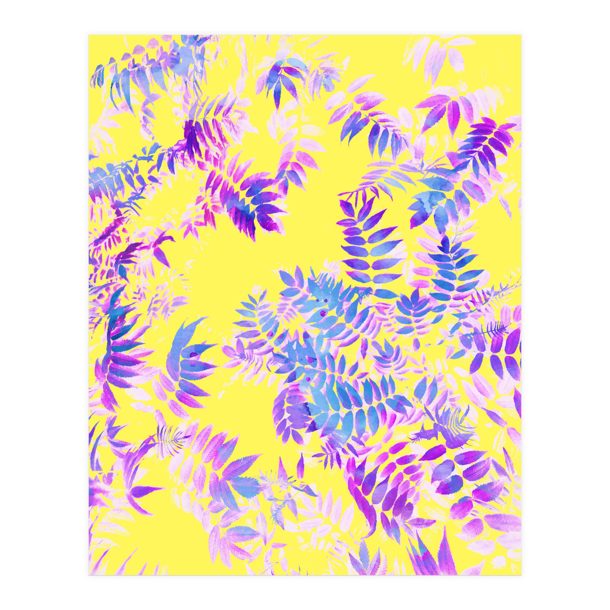 Vibrance (Print Only)