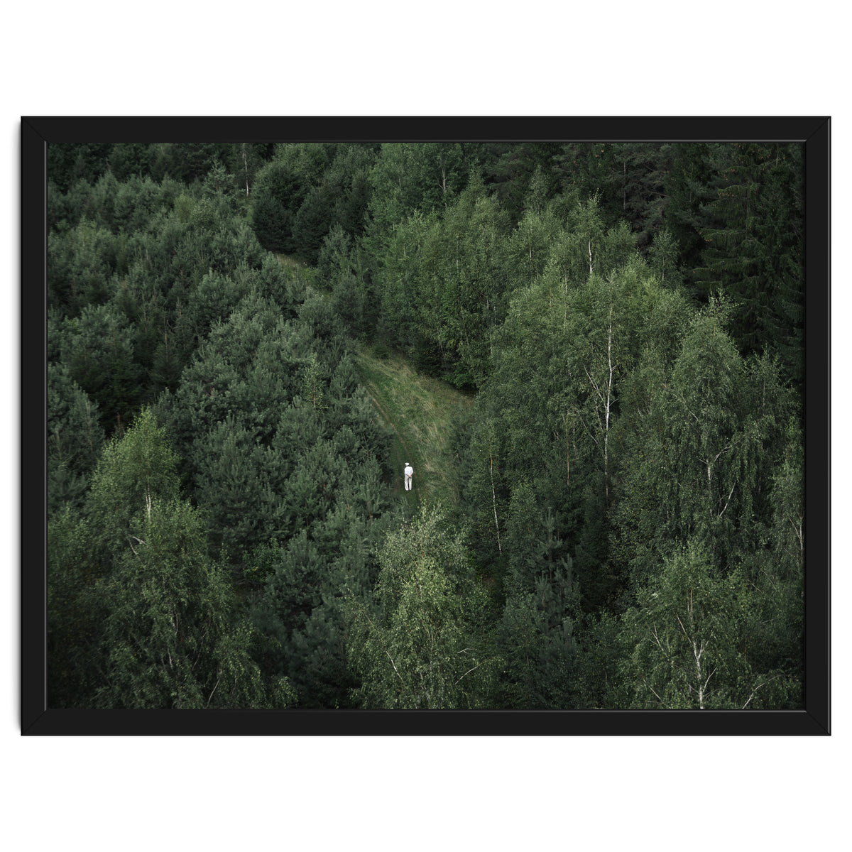 What's the Date Today?