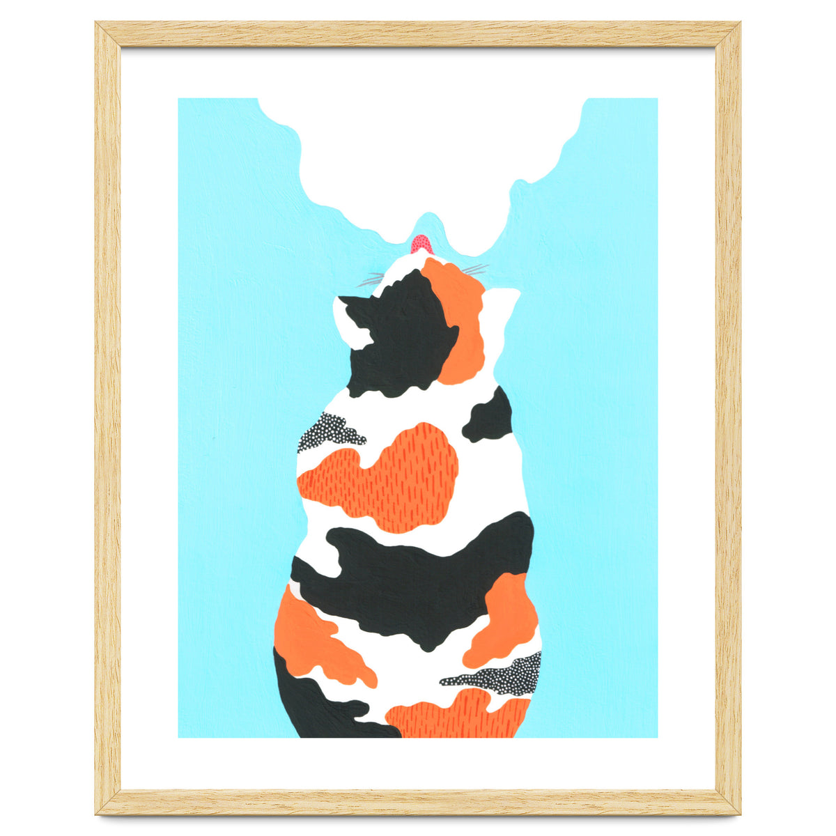 Tri Colored Calico Cat