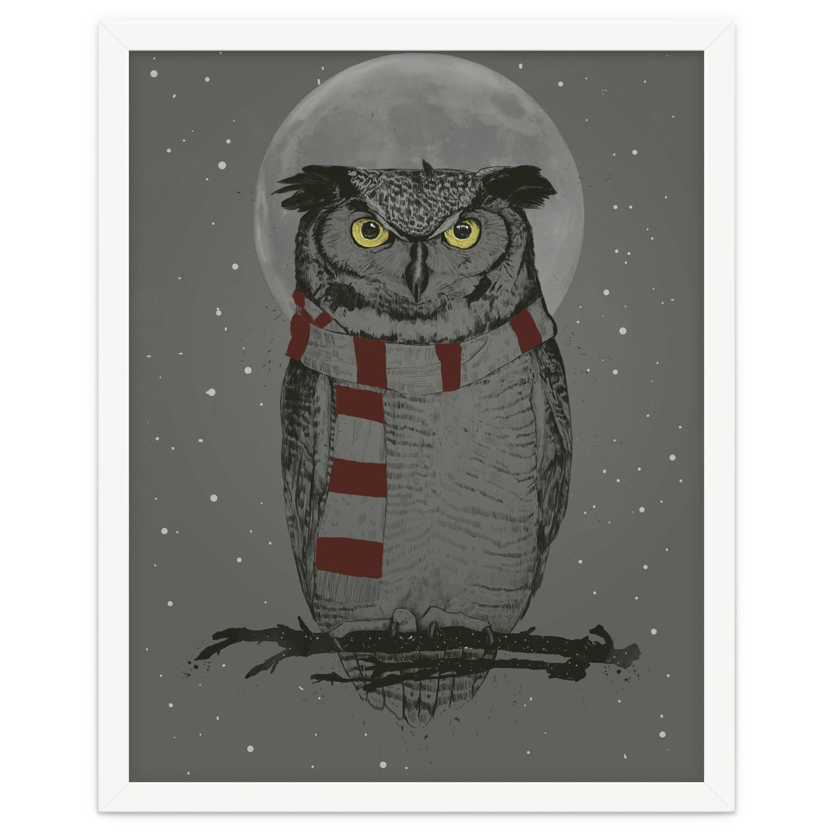 Winter Owl