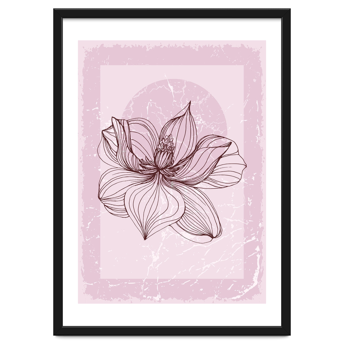 Modern Magnolia flower nature