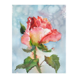 Beautiful Rose Watercolor (Print Only) thumbnail