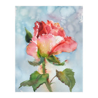 Beautiful Rose Watercolor (Print Only)