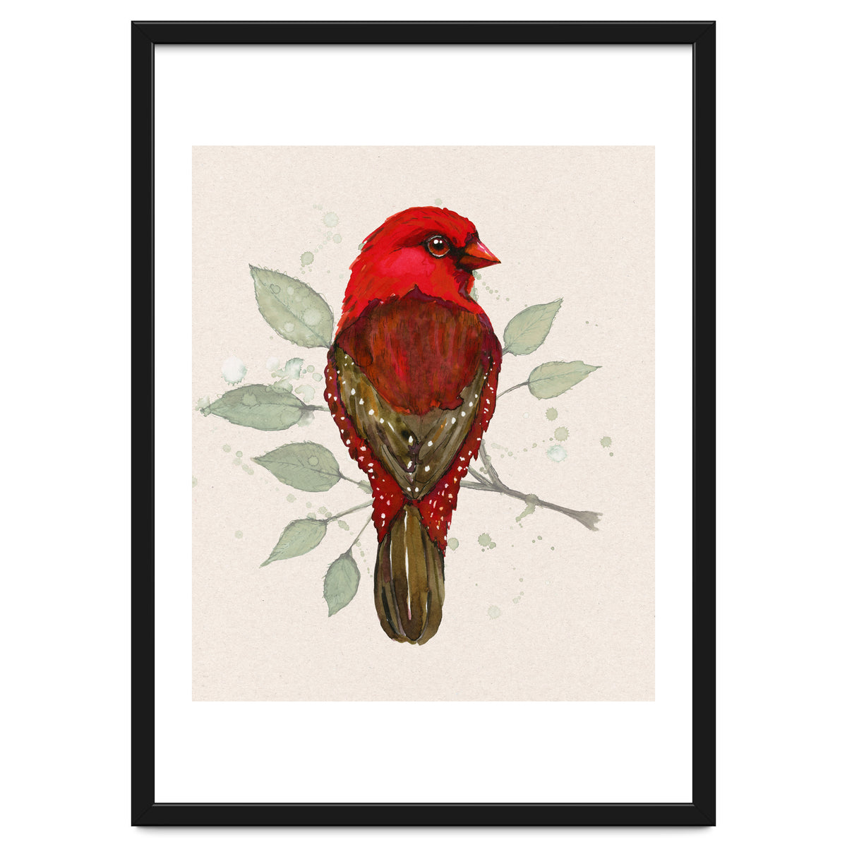 Red avadavat watercolor