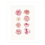 Cc Flower 04 (Print Only) thumbnail