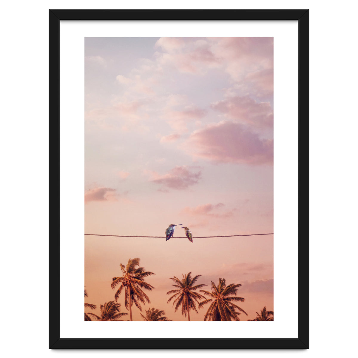 Hummingbirds In Love