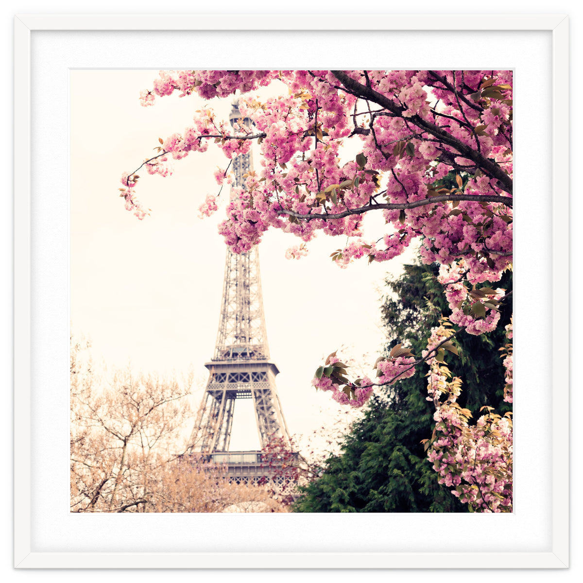Paris in the Spring