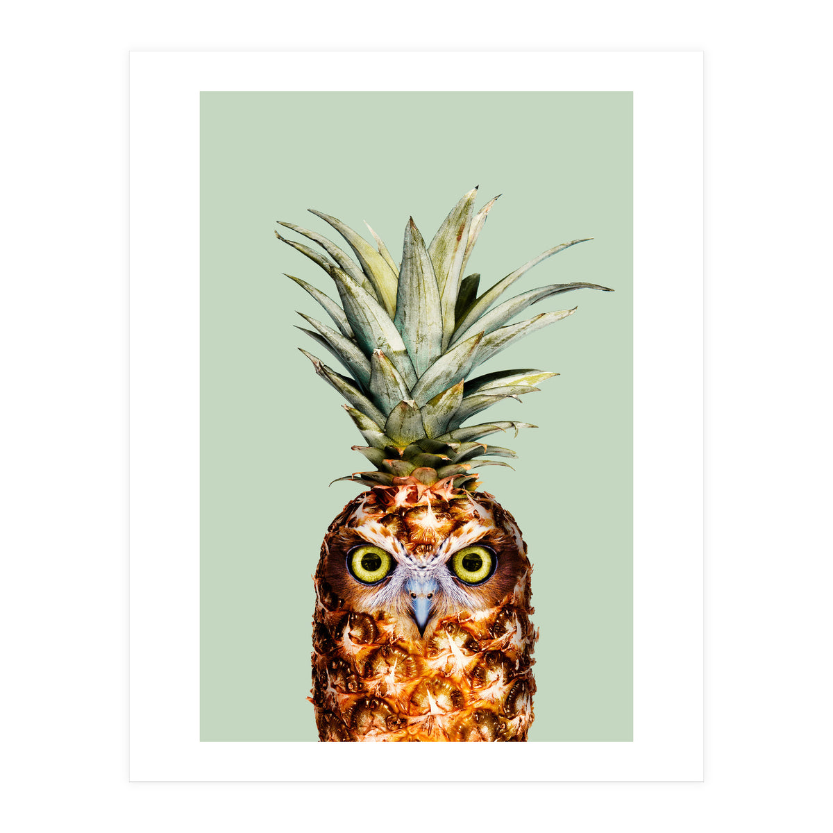 Pineapple Owl (Print Only)
