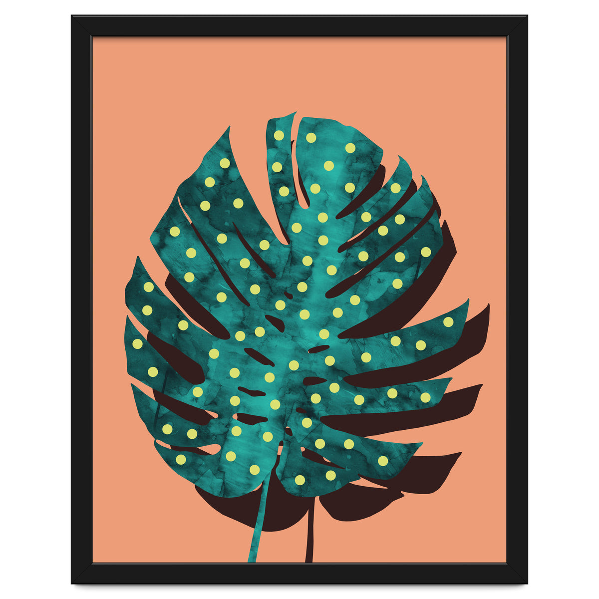 Monstera Deliciosa IV