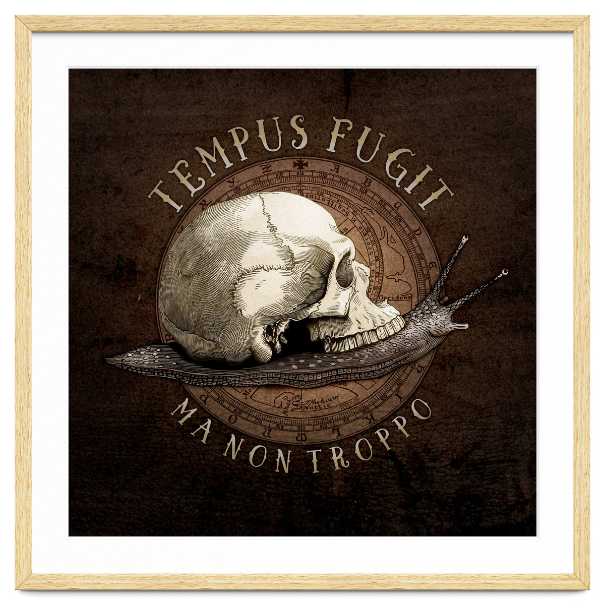 Tempus Fugit (ma non troppo)