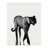 Tiger  (Print Only) thumbnail
