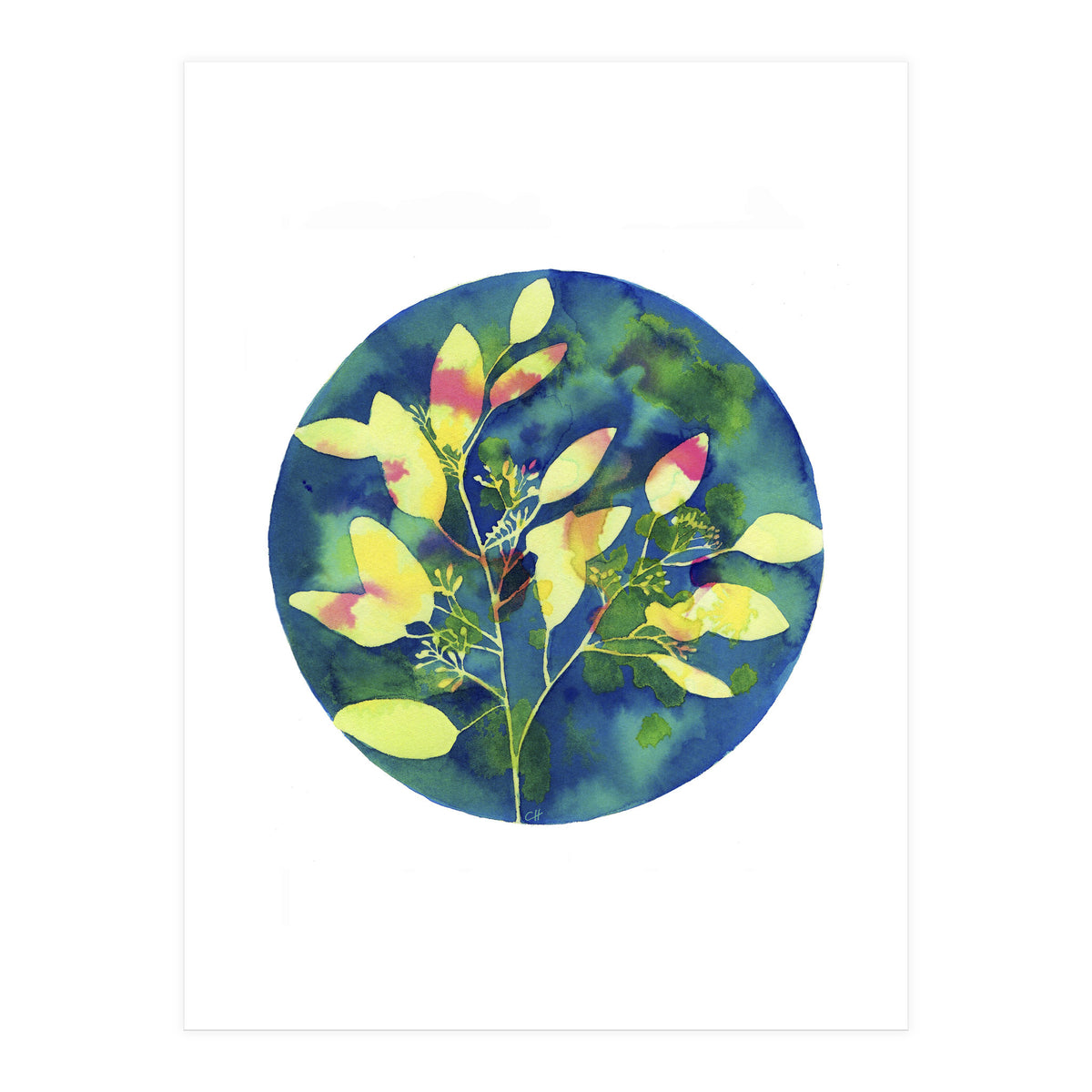 Winter Eucalyptus  (Print Only)