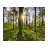Spring Sun (Print Only) thumbnail