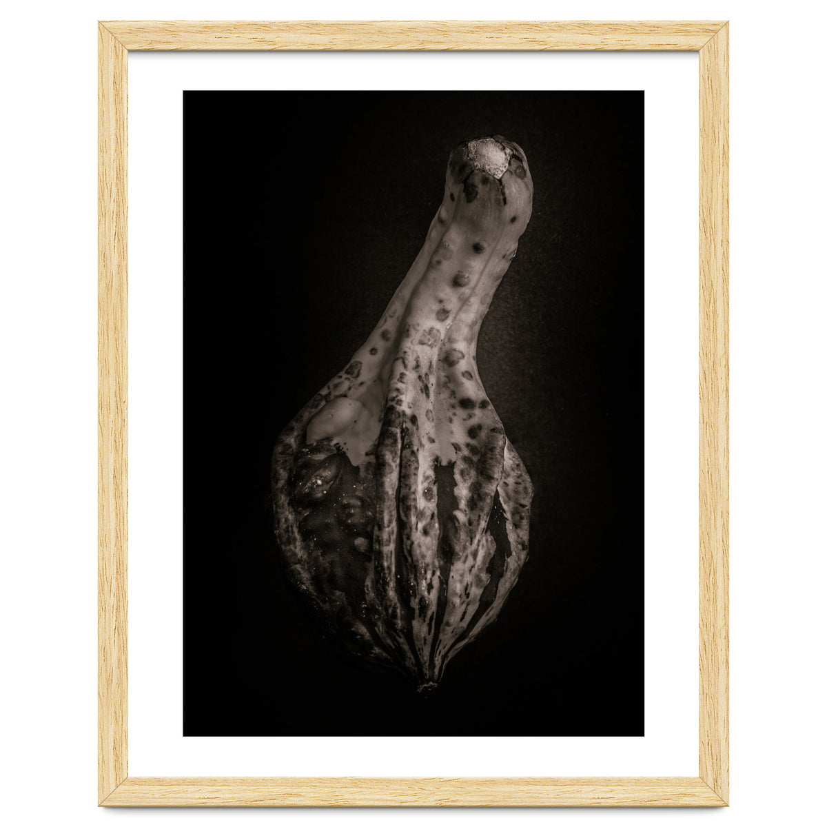 Gourds No 3