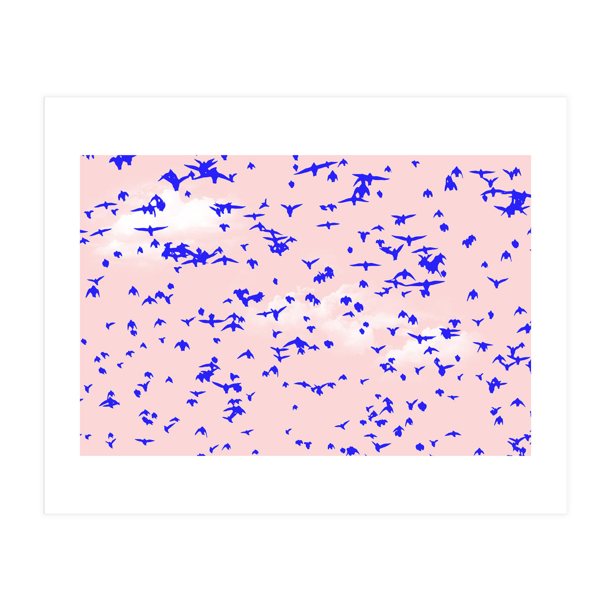 The Right To Fly (Print Only)