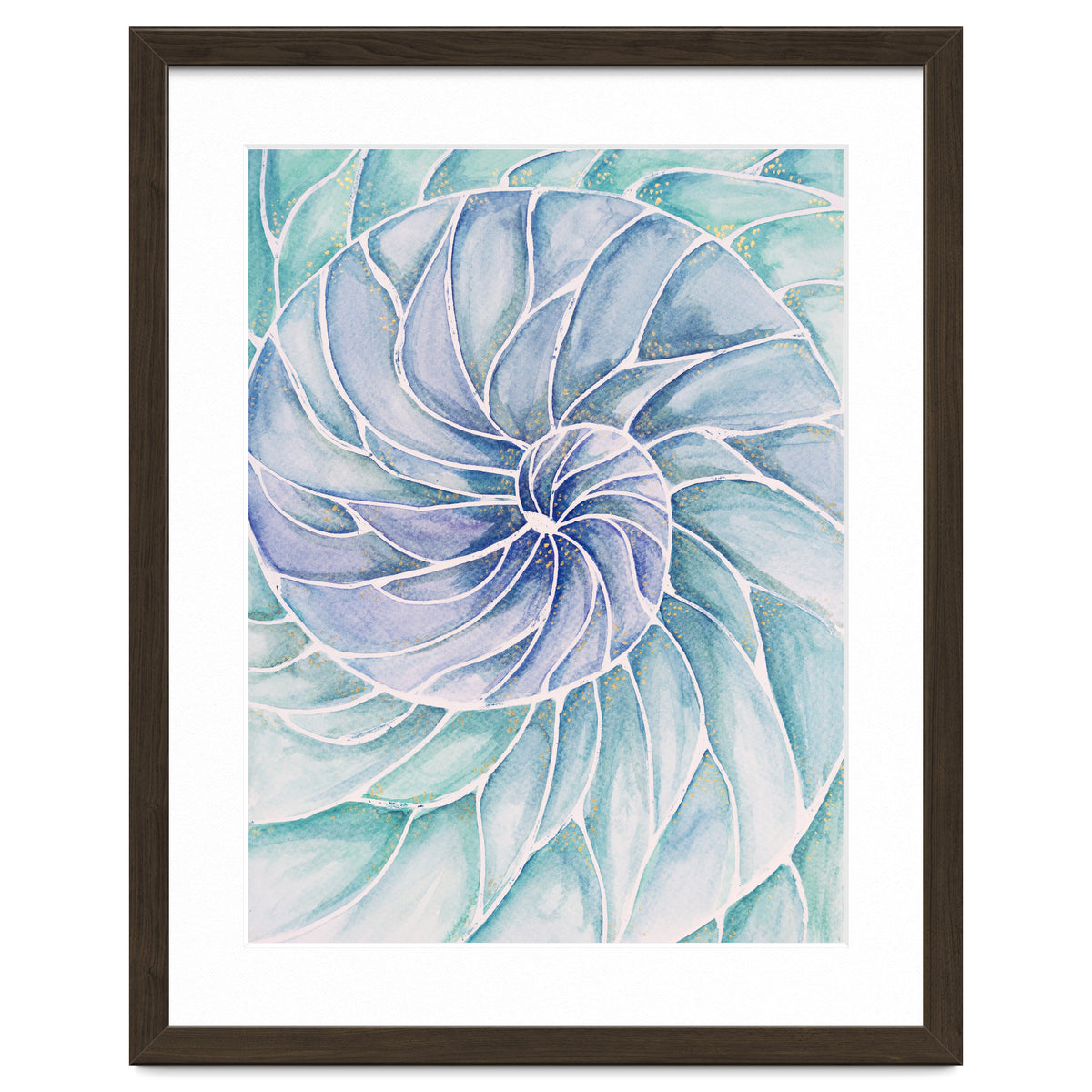 The inside of a shell