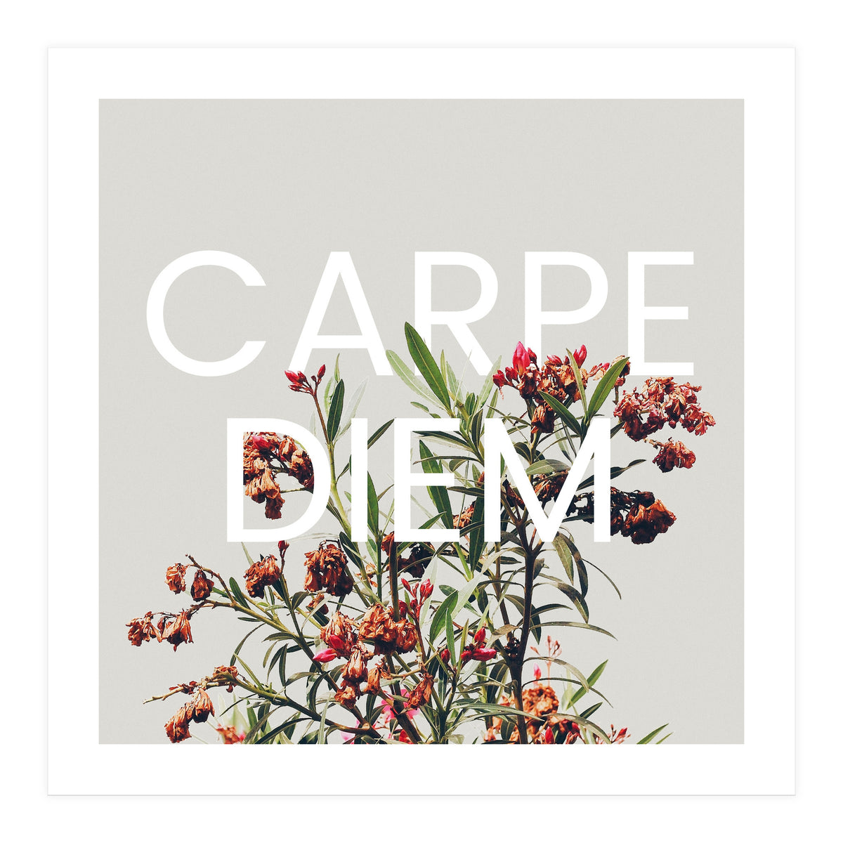 Carpe Diem (Print Only)