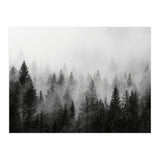 Black and White Forest (Print Only) thumbnail