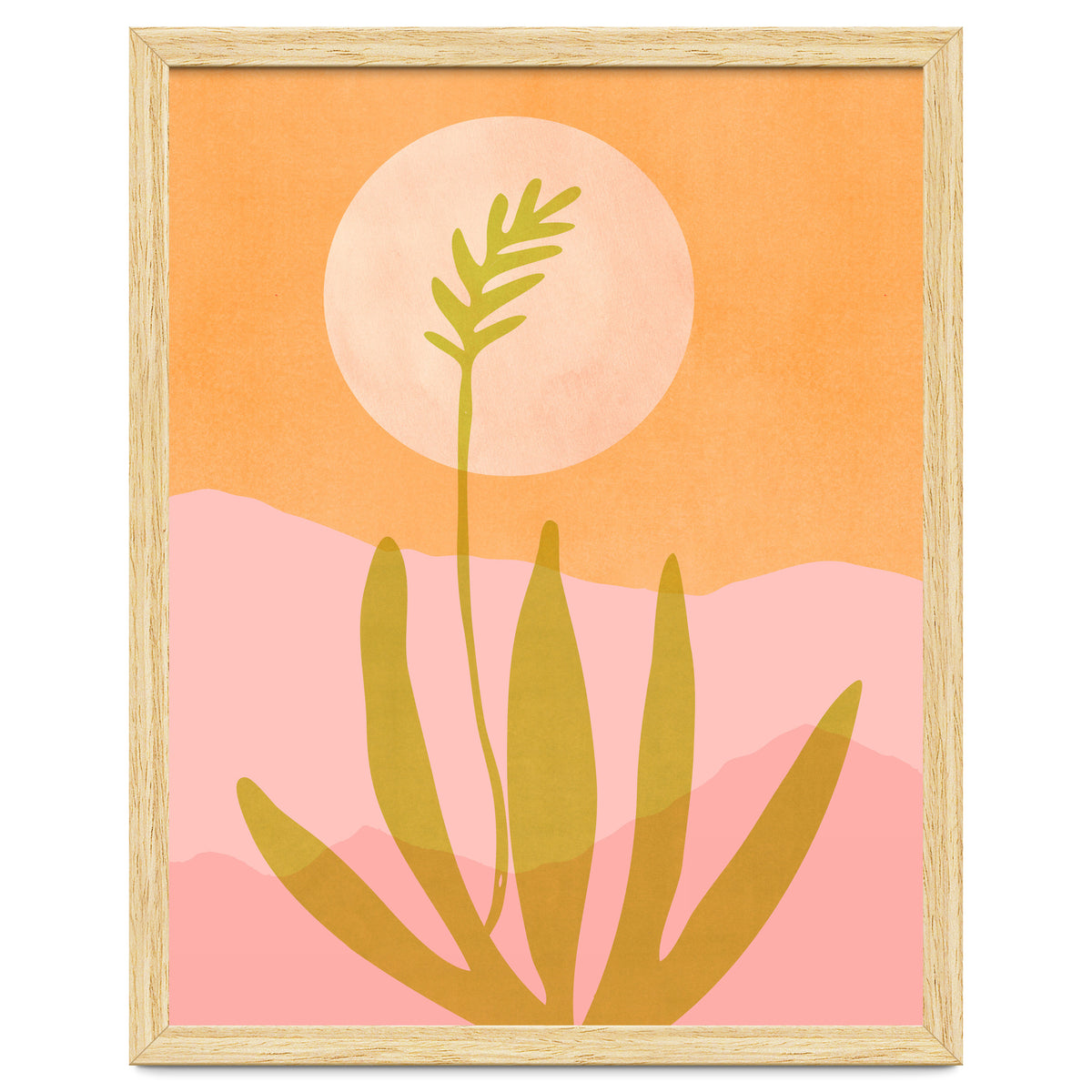 Desert Moon With Agave