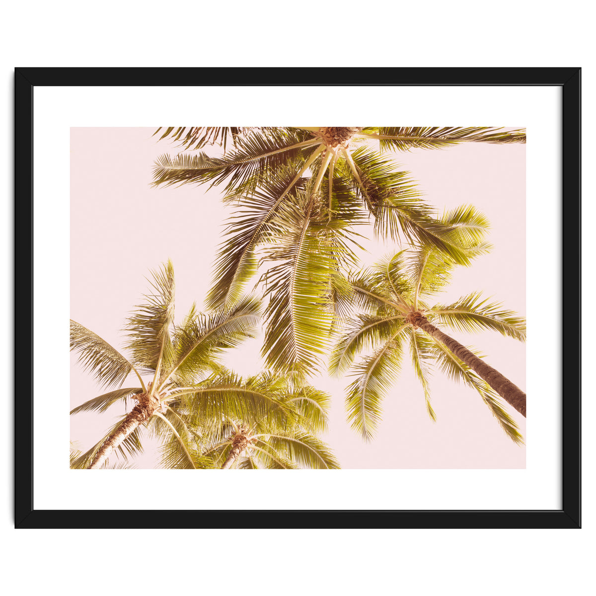 Blush Pink Boho Palm Trees