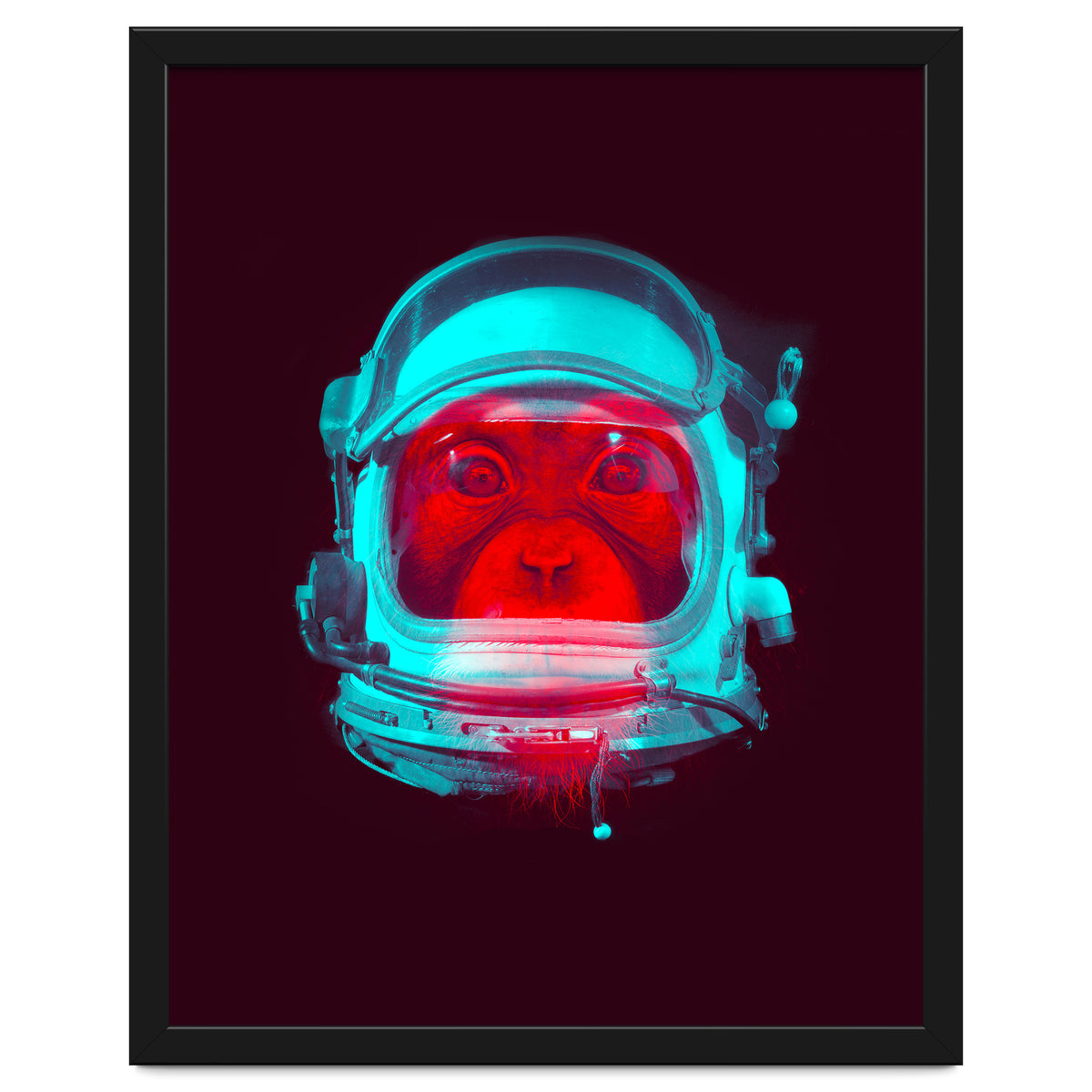 Astronaut