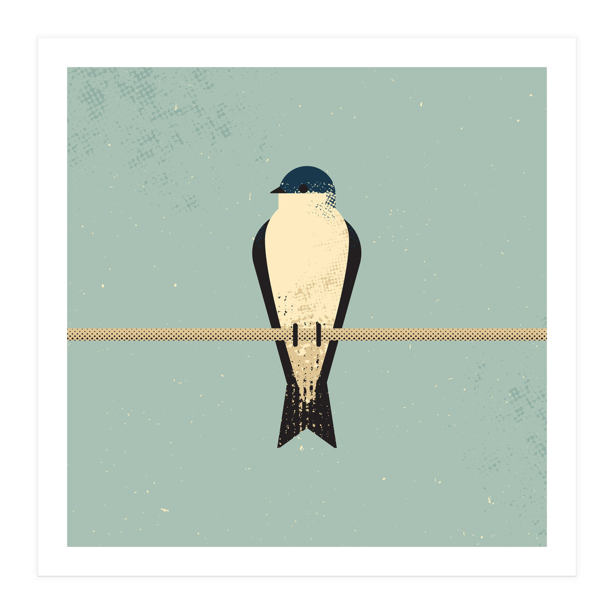 Swallow (Print Only)