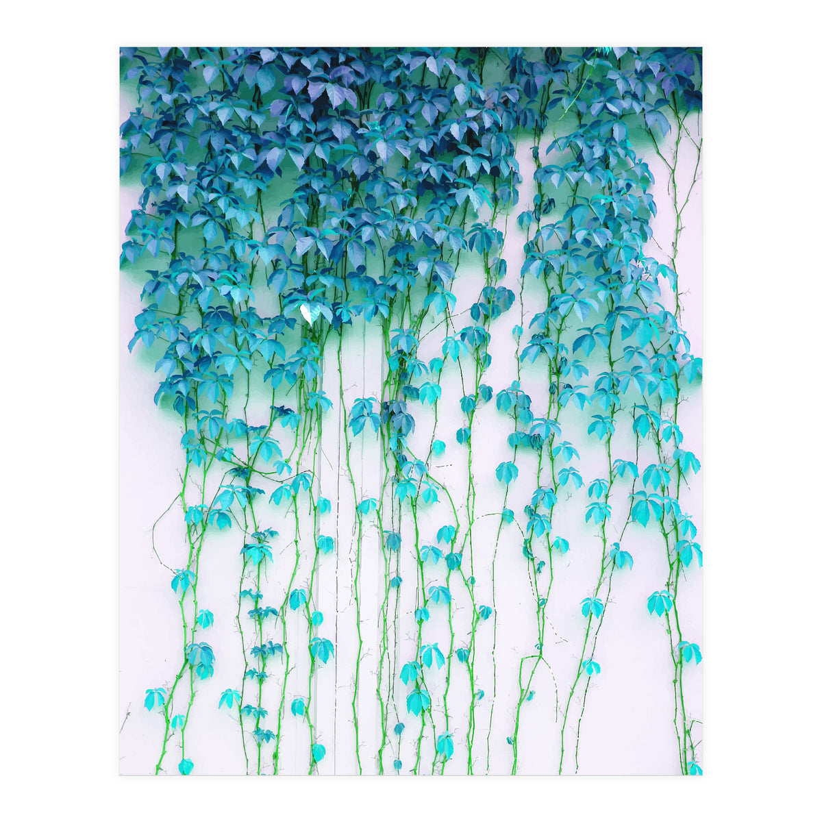 Average Absence, Botanical Minimal Nature Creepers Plants, Tropical Watercolor Bohemian Painting (Print Only)