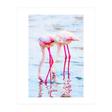 Flamingo Pink (Print Only) thumbnail