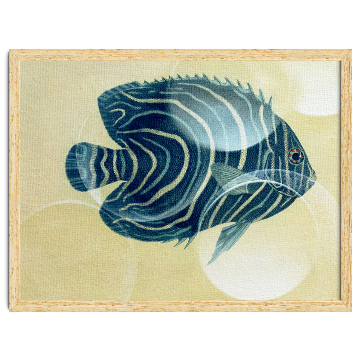 Fish Between Circles