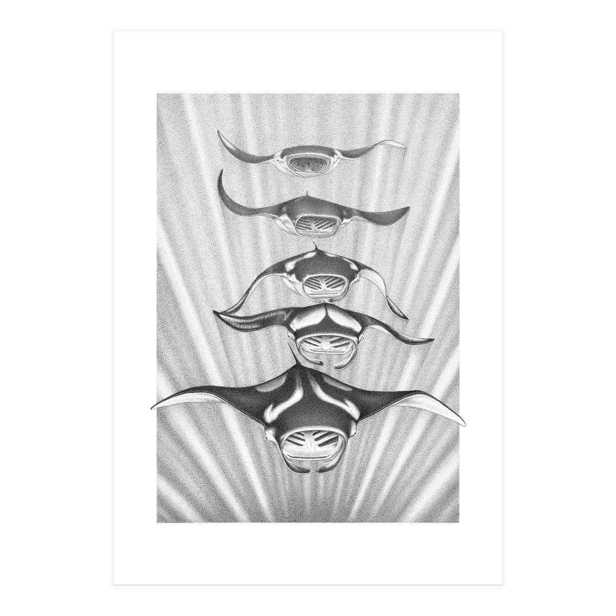 Manta Train (Print Only)