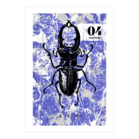 Bugs 4 (Print Only)