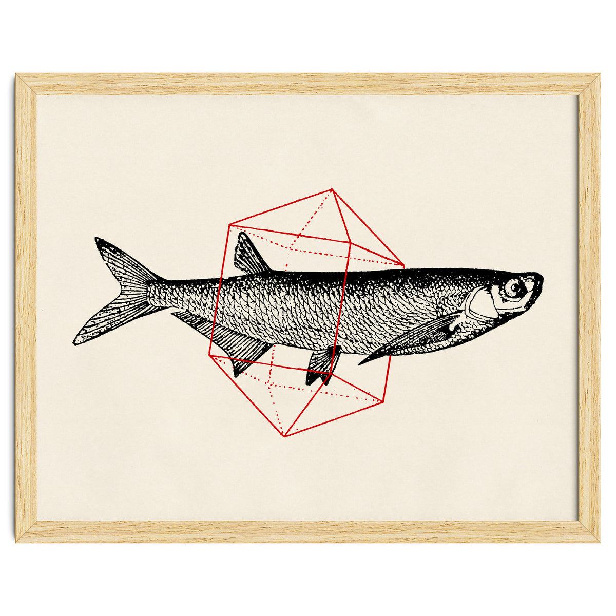 Fish In Geometrics II
