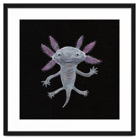 Axolotl