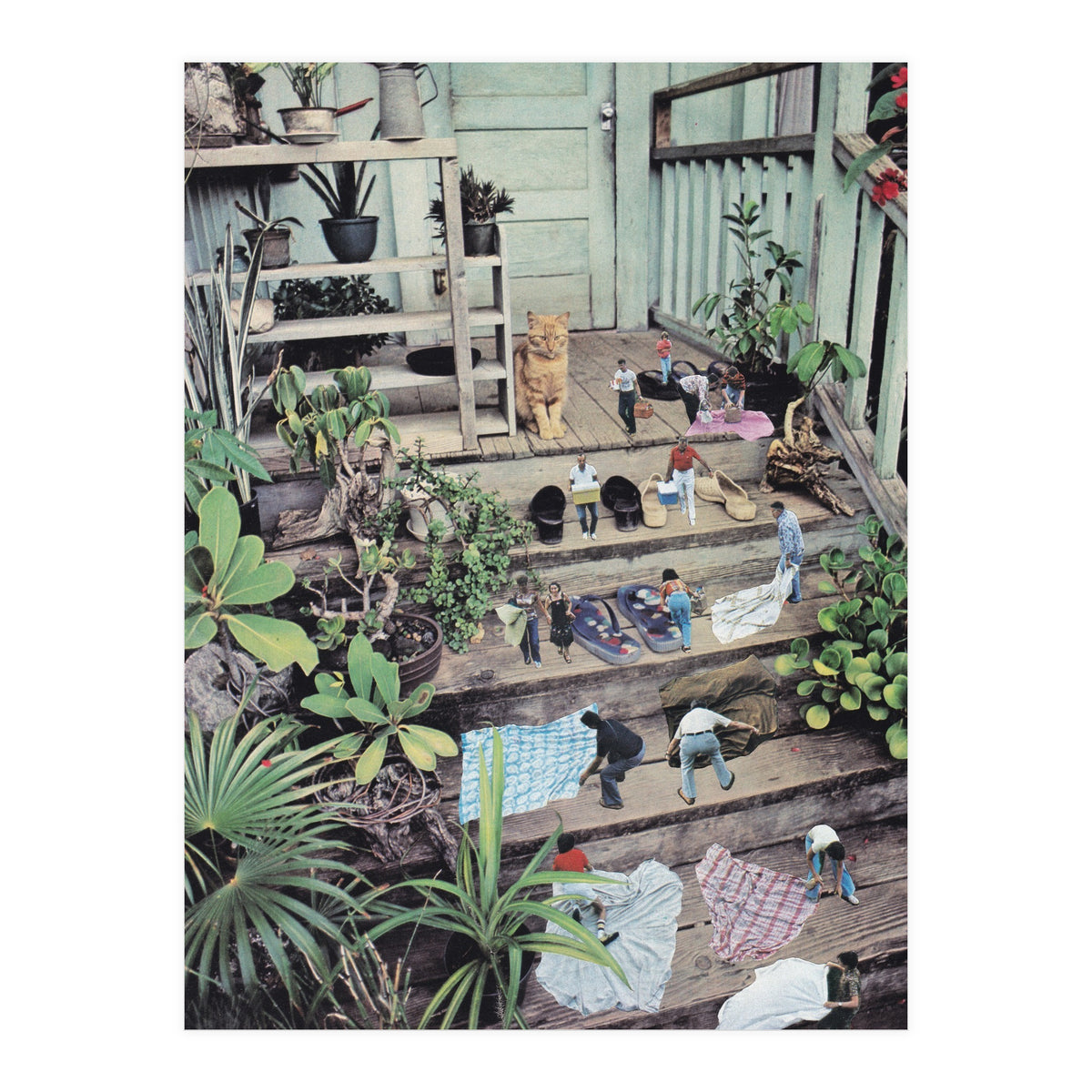 Big Cat (Print Only)