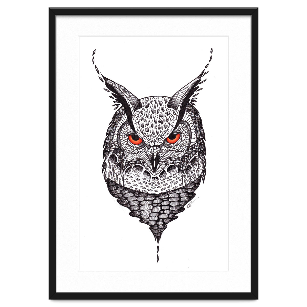 Owl