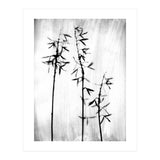 Hosta 3 (Print Only) thumbnail