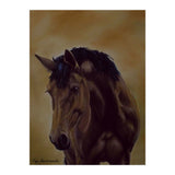 Astonishment (Print Only) thumbnail