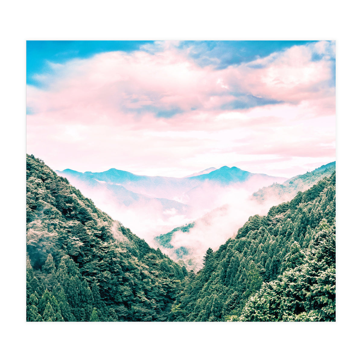 The View Ii (Print Only)