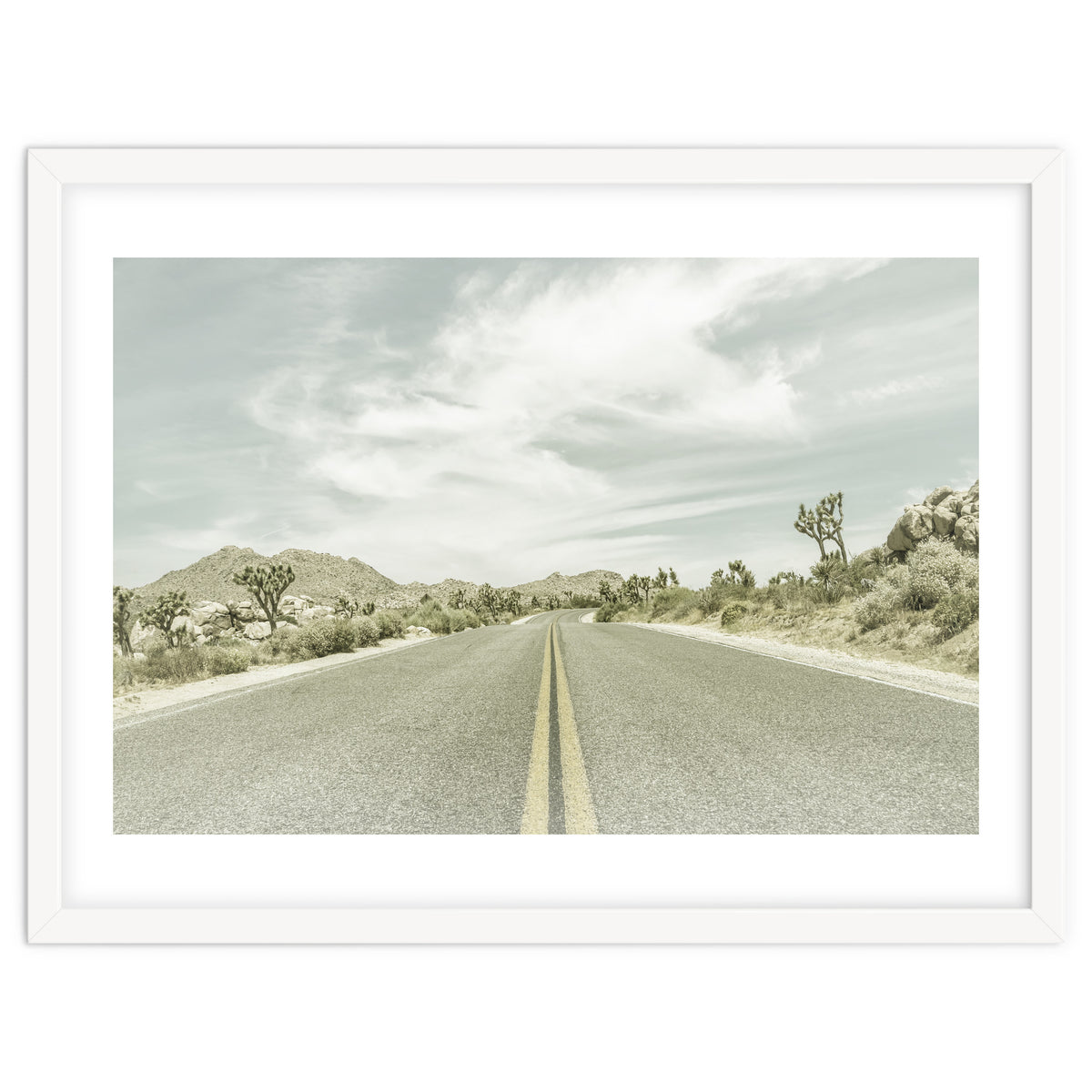 Joshua Trees, Park Boulevard | Vintage