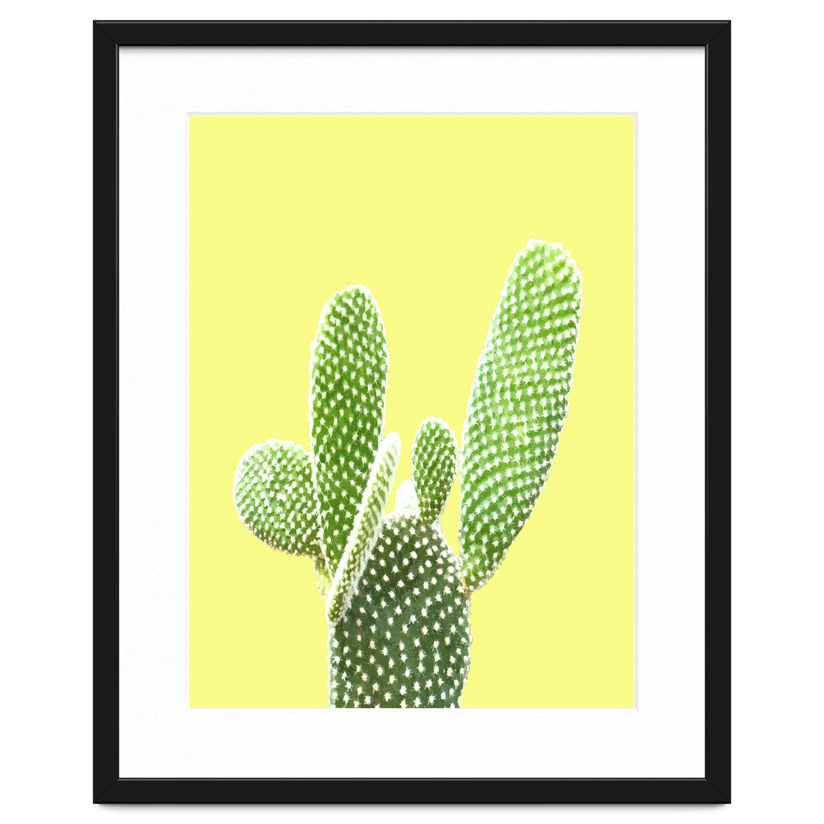 Cactus Yellow Background