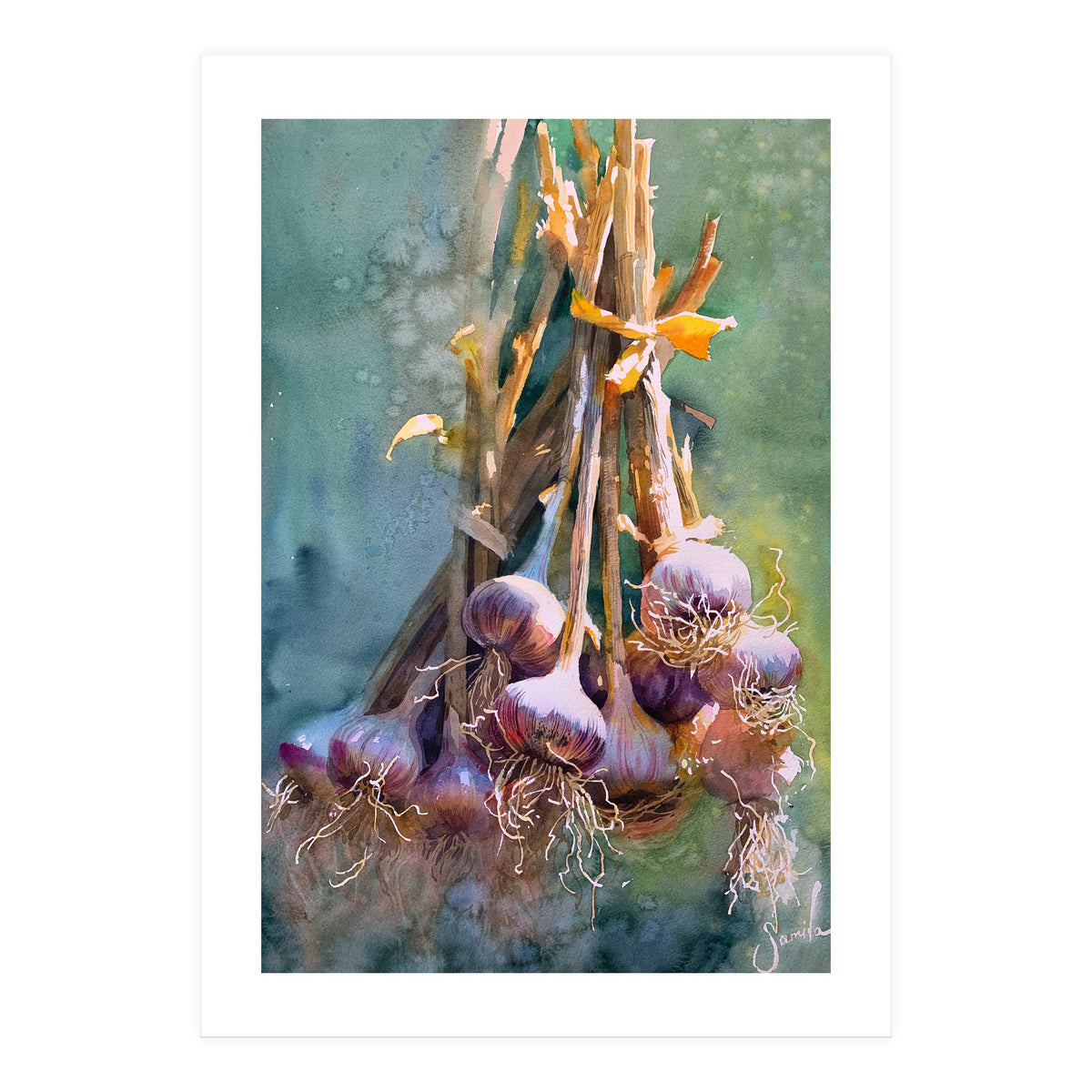 Still Life Garlic (Print Only)