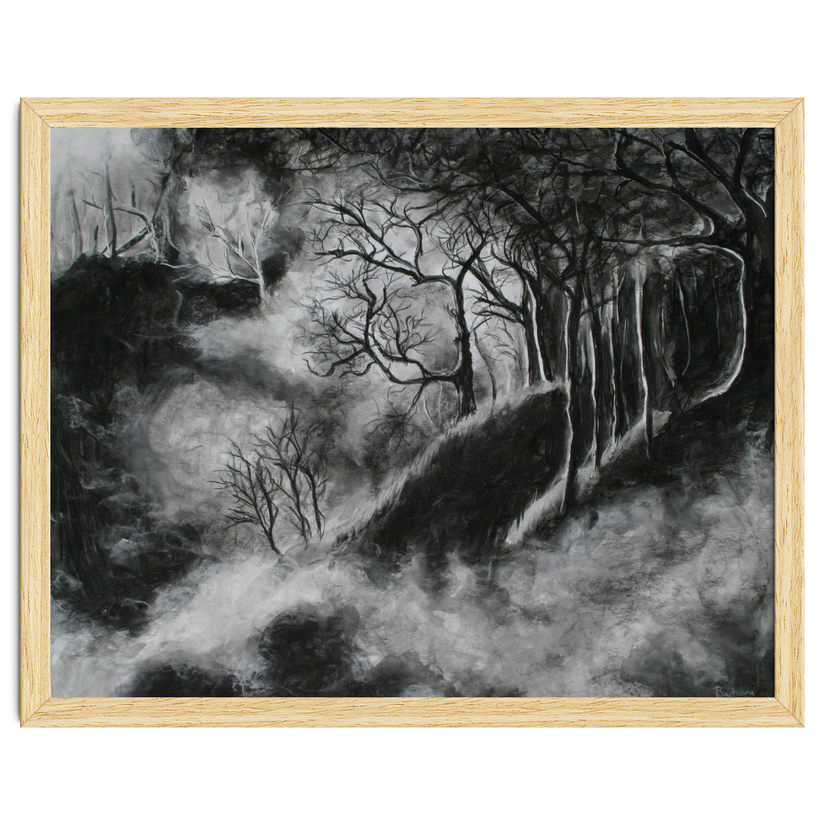 Black and White Forest in Clouds