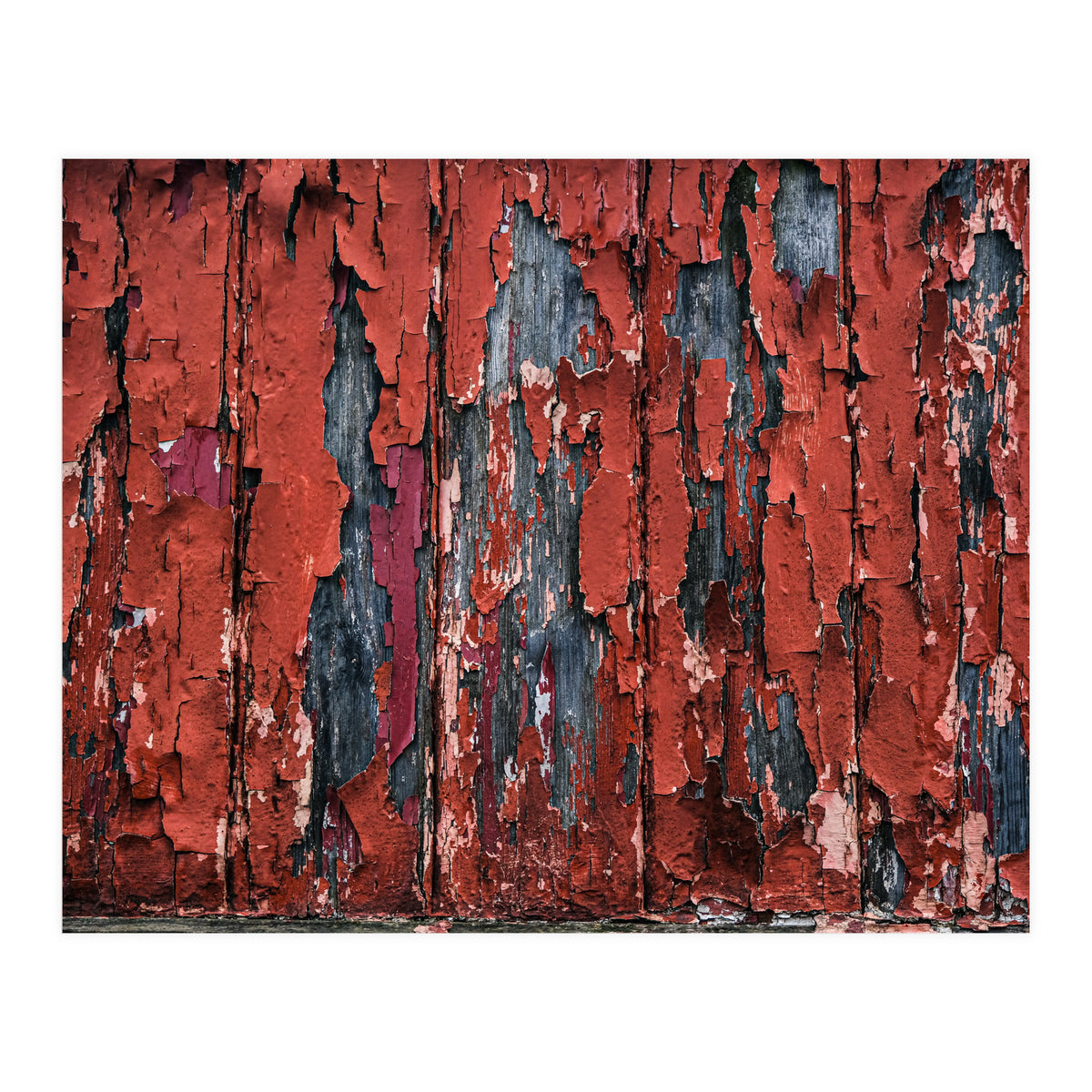 Flaking paint (Print Only)