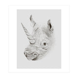 Rhinoplasty (Print Only) thumbnail