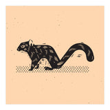 Squirrel (Print Only) thumbnail